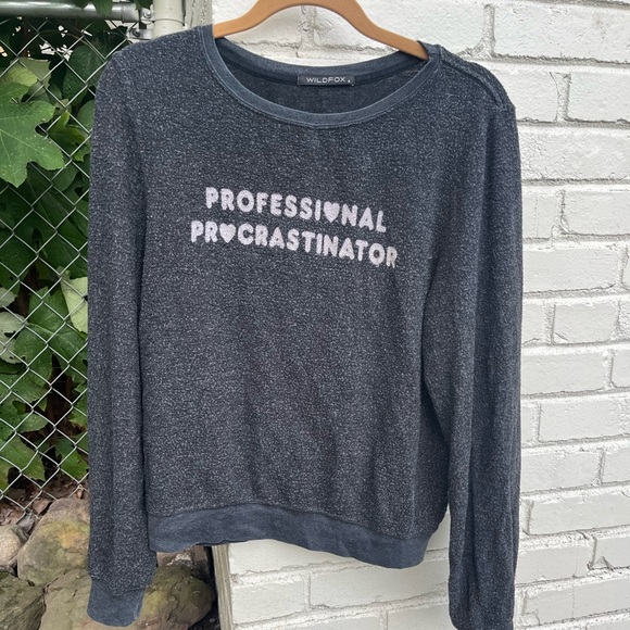 Wildfox Professional Procrastinator Jumper Sweatshirt Grey Size S - Picture 3 of 7